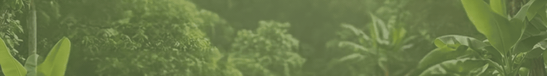 spot_img
